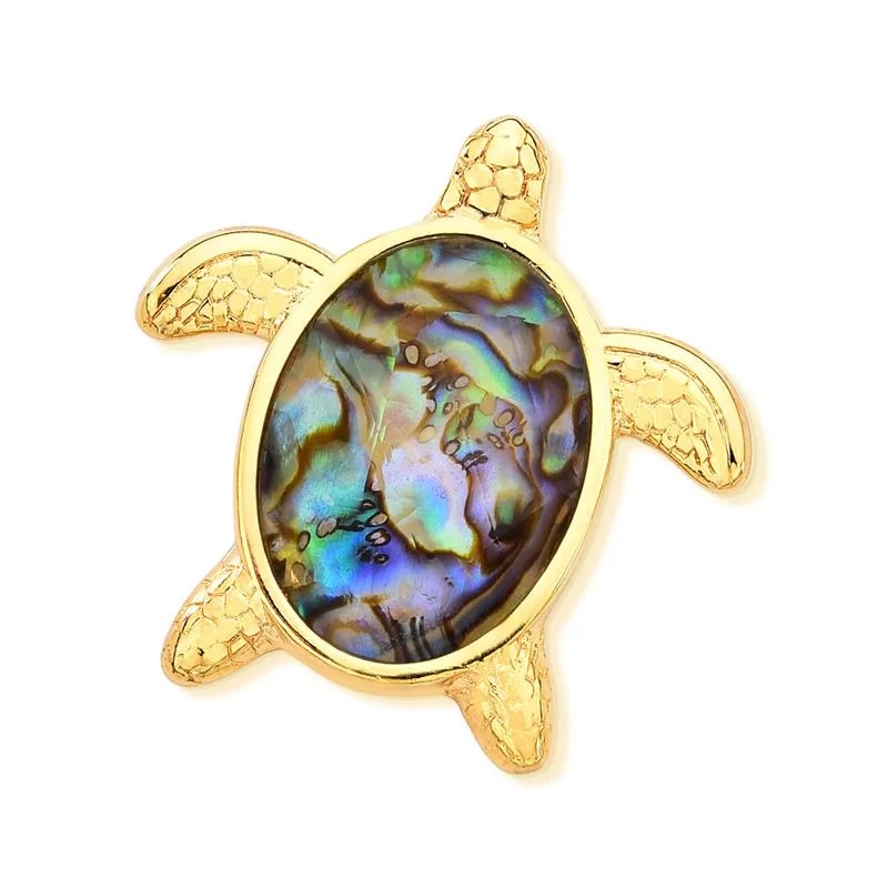 CO P TARTARUGA/ABALONE PG100.D